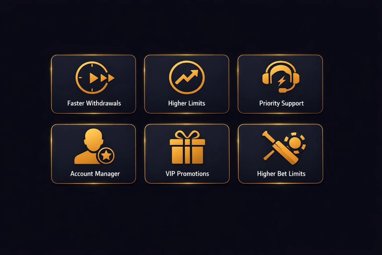 SkyExchange VIP benefits including faster withdrawals, higher limits, priority support, and a dedicated account manager